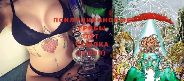 Альфа ПВП Верхний Тагил
