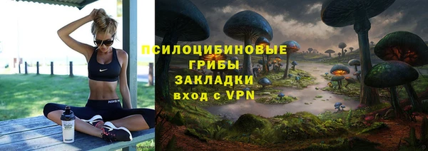 бошки Верея
