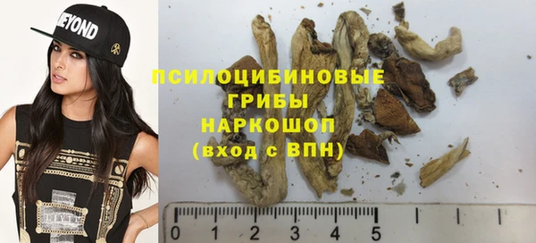бошки Верея