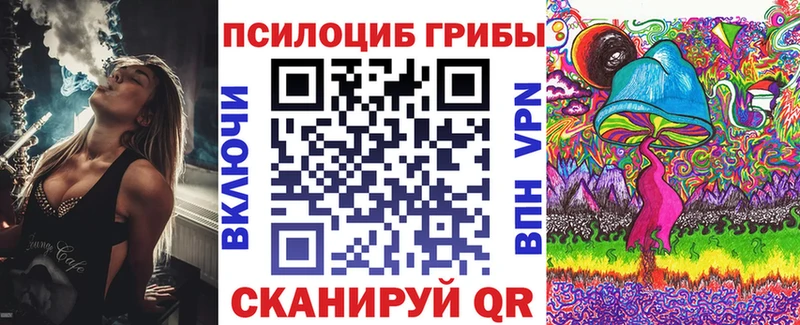 Купить где  Сосновоборск  Галлюциногенные грибы мицелий 